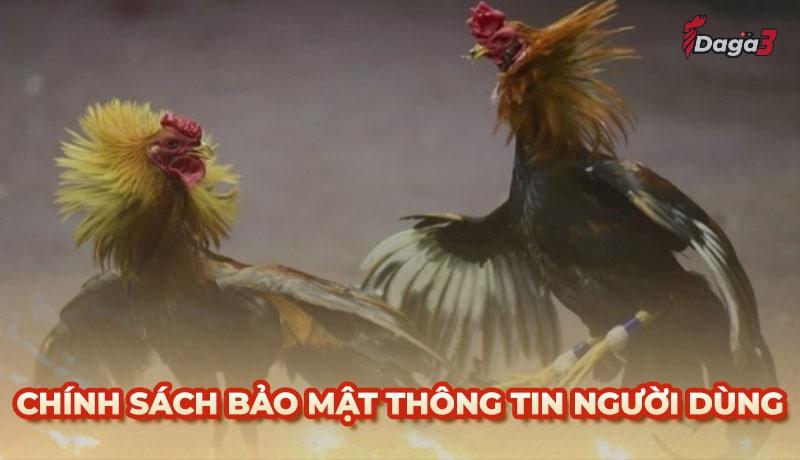 Chính sách bảo mật thông tin người dùng tại www.scorch.live