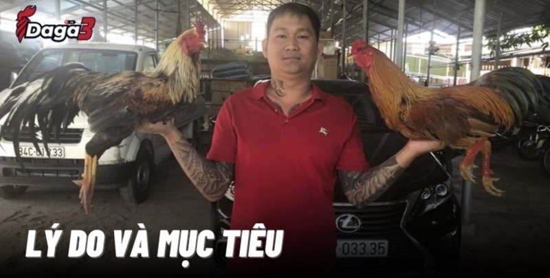 Mít Trà Cú sáng lập trang đá gà trực tiếp www.scorch.live